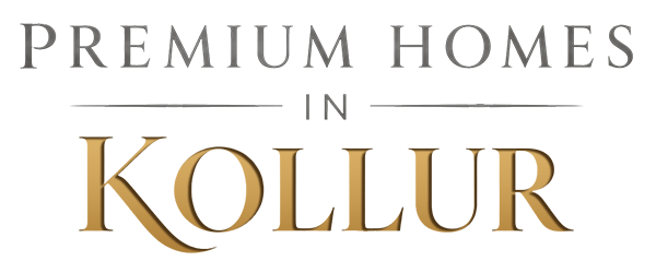 New Launch 